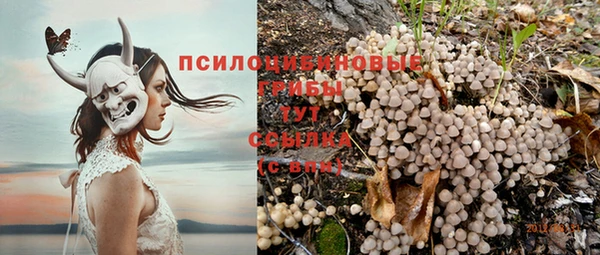 МДПВ Снежногорск