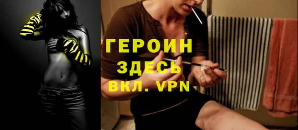 МДПВ Снежногорск