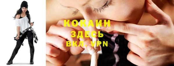 трава Слюдянка