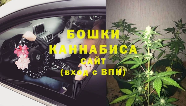 трава Слюдянка